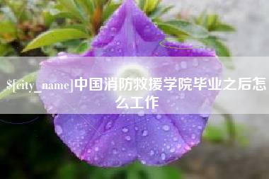 铜陵中国消防救援学院毕业之后怎么工作