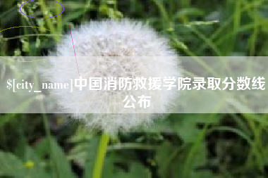 铜陵中国消防救援学院录取分数线公布