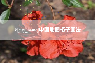 铜陵中国地图格子画法
