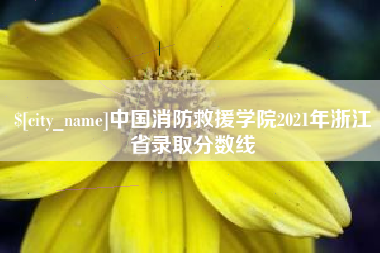 铜陵中国消防救援学院2021年浙江省录取分数线
