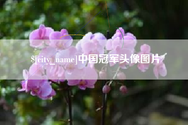 铜陵中国冠军头像图片