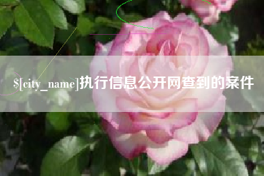 铜陵执行信息公开网查到的案件