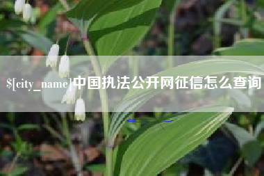 铜陵中国执法公开网征信怎么查询