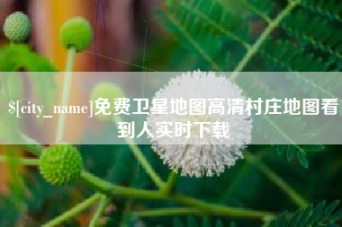铜陵免费卫星地图高清村庄地图看到人实时下载