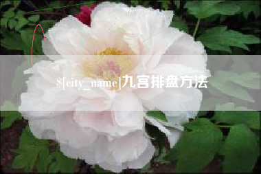 铜陵九宫排盘方法