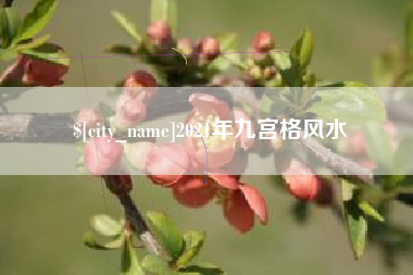 铜陵2021年九宫格风水