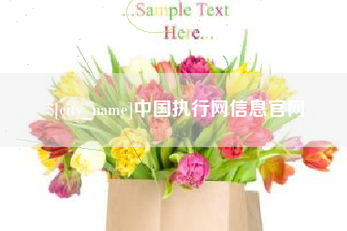 铜陵中国执行网信息官网