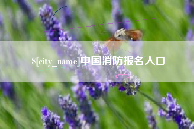 铜陵中国消防报名入口