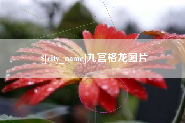 铜陵九宫格龙图片