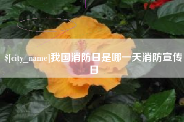 铜陵我国消防日是哪一天消防宣传日