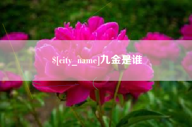 铜陵九金是谁
