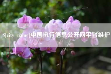 铜陵中国执行信息公开网平台维护