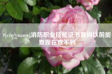 铜陵消防职业技能证书查询以前能查现在查不到