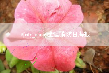 铜陵全国消防日海报