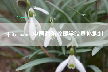 铜陵中国消防救援学院具体地址