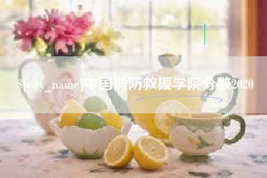 铜陵中国消防救援学院分数2020