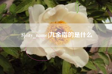 铜陵九金指的是什么