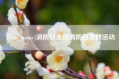 铜陵消防日全国消防日主题活动