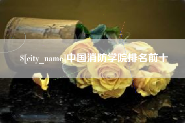 铜陵中国消防学院排名前十
