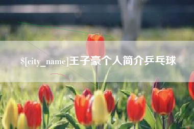 铜陵王子豪个人简介乒乓球