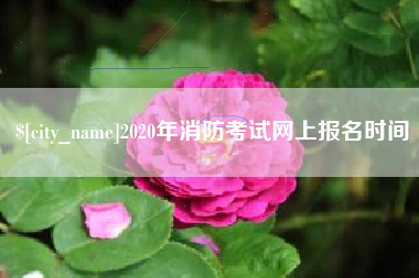 铜陵2020年消防考试网上报名时间
