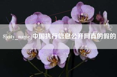 铜陵中国执行信息公开网真的假的