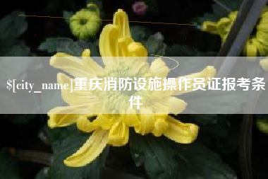 铜陵重庆消防设施操作员证报考条件