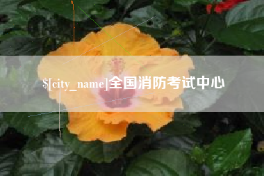 铜陵全国消防考试中心