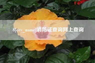 铜陵消防证查询网上查询