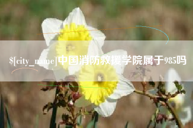 铜陵中国消防救援学院属于985吗