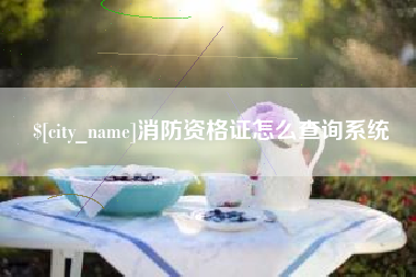 铜陵消防资格证怎么查询系统