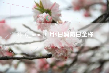 铜陵11月9日消防日全称