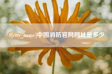 铜陵中国消防官网网址是多少