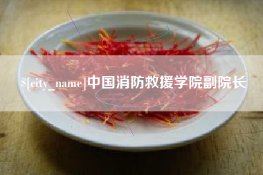 铜陵中国消防救援学院副院长