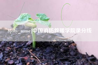 铜陵中国消防救援学院录分线