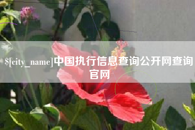 铜陵中国执行信息查询公开网查询官网