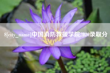 铜陵中国消防救援学院2020录取分