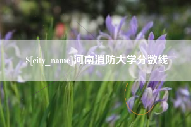 铜陵河南消防大学分数线