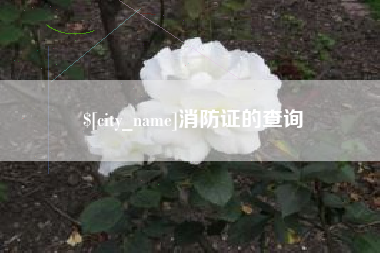 铜陵消防证的查询