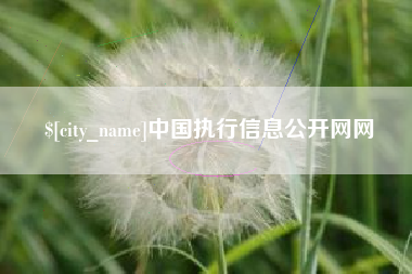 铜陵中国执行信息公开网网