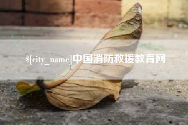 铜陵中国消防救援教育网