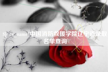 铜陵中国消防救援学院辽宁省录取名单查询