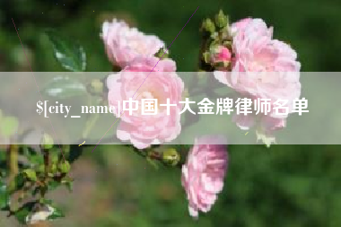 铜陵中国十大金牌律师名单