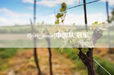 铜陵中国队 冠军