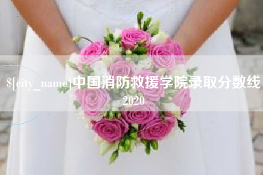 铜陵中国消防救援学院录取分数线2020