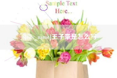 铜陵王子豪是怎么写