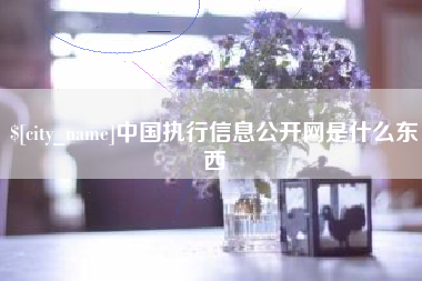 铜陵中国执行信息公开网是什么东西