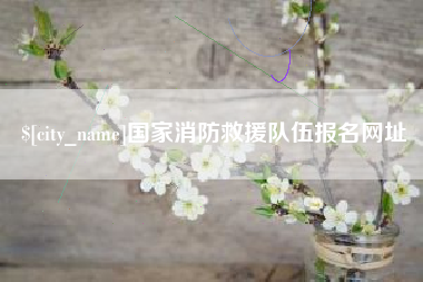 铜陵国家消防救援队伍报名网址