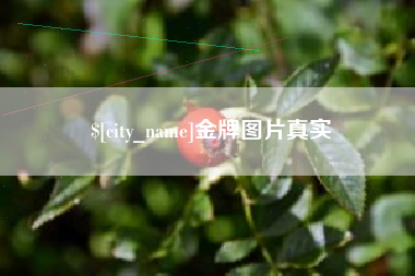 铜陵金牌图片真实