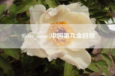 铜陵中国第九金回放